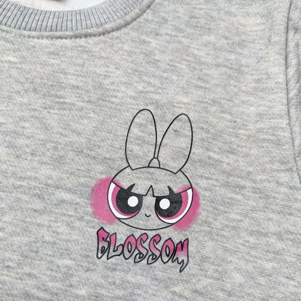 GIRLS PRINTED POWERPUFF FLEECE SWEATSHIRT - H.GRAY