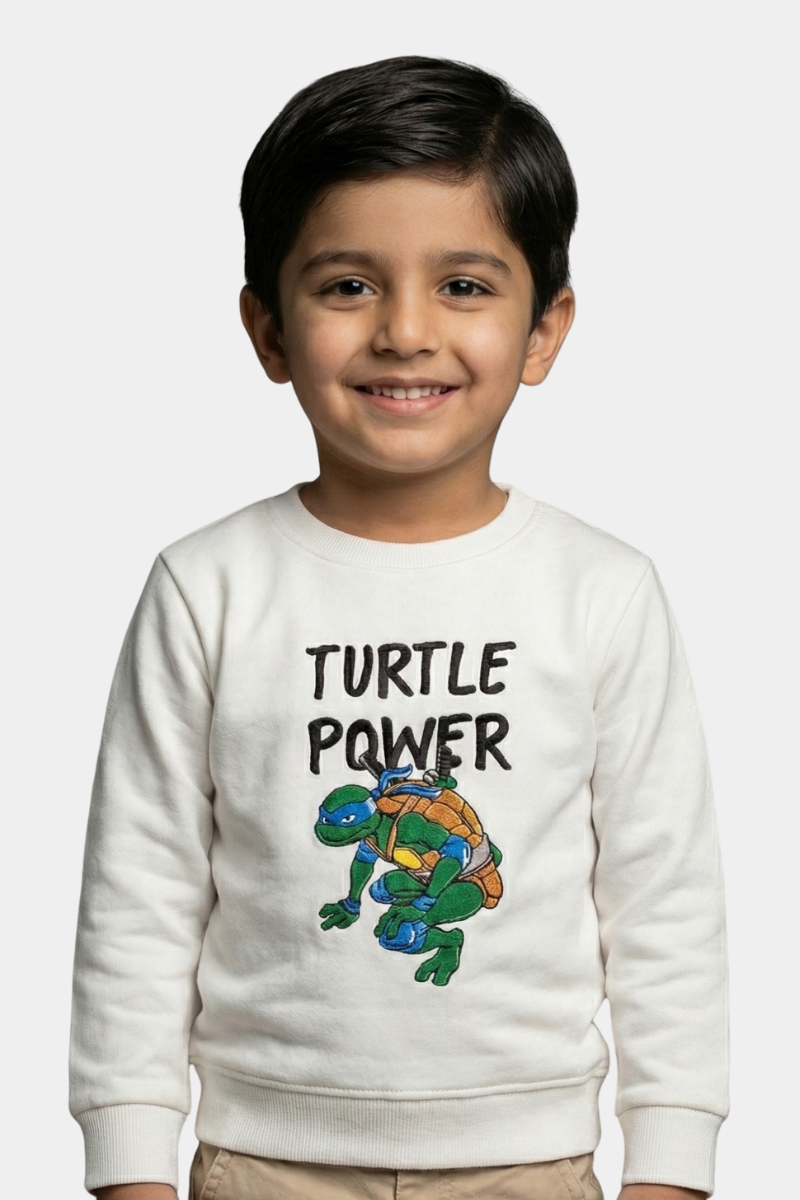 Boys Teenage Mutant Ninja Turtles "Turtle Power" Pullover