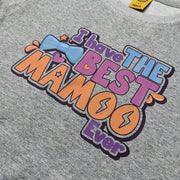 I HAVE THE BEST MAMOO EVER FLEECE SWEATSHIRT - H.GRAY