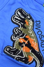 Baby & Toddler Blue Dinosaur Appliqué Sweatshirt