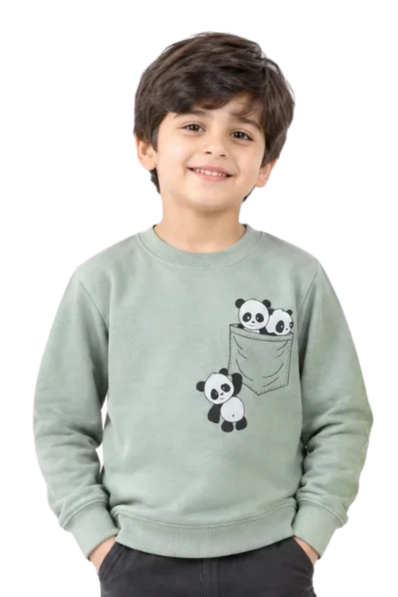 Boys' Sage Green Cute Panda Graphic Sweatshirt